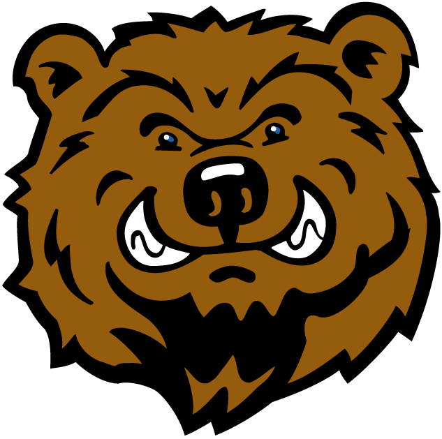 UCLA Bruins 2004-Pres Mascot Logo t shirts iron on transfers v4